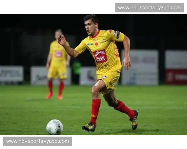 尼奥尔vs阿弗尔：法兰西足球的绿茵双雄，荣誉与激情的碰撞